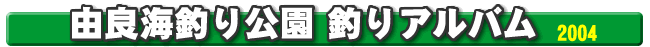 �R�ǊC�ނ�����@�ނ�A���o��2004